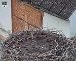 Capi_Dubne_20260914_080003.jpg
