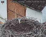 Capi_Dubne_20260914_092503.jpg