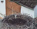Capi_Dubne_20260914_101003.jpg