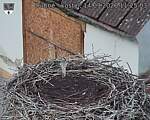 Capi_Dubne_20260914_112503.jpg