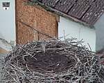 Capi_Dubne_20260914_120003.jpg