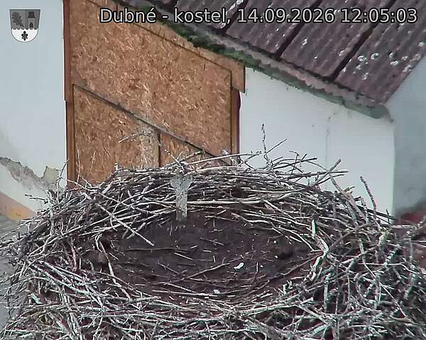 preload