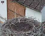 Capi_Dubne_20260914_122003.jpg