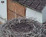 Capi_Dubne_20260914_124003.jpg