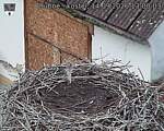 Capi_Dubne_20260914_130003.jpg