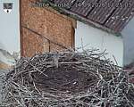 Capi_Dubne_20260914_132503.jpg