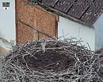Capi_Dubne_20260914_133503.jpg