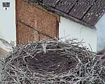 Capi_Dubne_20260914_134503.jpg