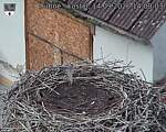 Capi_Dubne_20260914_140003.jpg