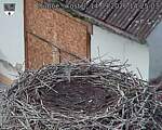 Capi_Dubne_20260914_142503.jpg