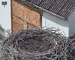 Capi_Dubne_20260914_145503.jpg