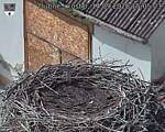 Capi_Dubne_20260914_150503.jpg