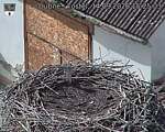 Capi_Dubne_20260914_152503.jpg