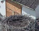 Capi_Dubne_20260914_154503.jpg