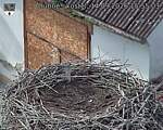 Capi_Dubne_20260914_155503.jpg
