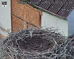 Capi_Dubne_20260914_161504.jpg