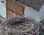 Capi_Dubne_20260914_163003.jpg