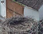 Capi_Dubne_20260914_163503.jpg