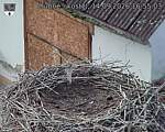 Capi_Dubne_20260914_165503.jpg