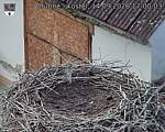 Capi_Dubne_20260914_170003.jpg