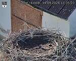 Capi_Dubne_20260914_173503.jpg