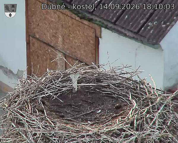 Capi_Dubne_20260914_181003.jpg (1350&nbsp;x&nbsp;1080)