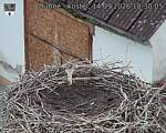 Capi_Dubne_20260914_183005.jpg