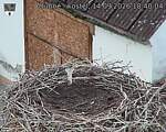 Capi_Dubne_20260914_184004.jpg