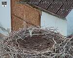 Capi_Dubne_20260914_185503.jpg