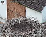 Capi_Dubne_20260914_191503.jpg