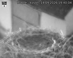 Capi_Dubne_20260914_194004.jpg