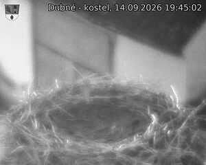 Capi_Dubne_20260914_194502.jpg (1350&nbsp;x&nbsp;1080)