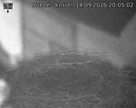 Capi_Dubne_20260914_200502.jpg
