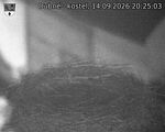 Capi_Dubne_20260914_202503.jpg