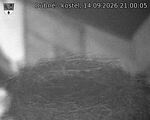 Capi_Dubne_20260914_210005.jpg