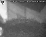Capi_Dubne_20260914_223516.jpg