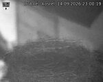 Capi_Dubne_20260914_230019.jpg