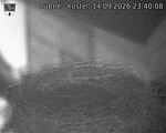 Capi_Dubne_20260914_234008.jpg
