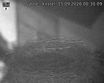 Capi_Dubne_20260915_003009.jpg