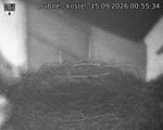 Capi_Dubne_20260915_005534.jpg