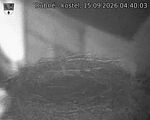 Capi_Dubne_20260915_044003.jpg