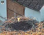 Capi_Dubne_20260915_065503.jpg