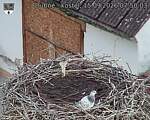 Capi_Dubne_20260915_075003.jpg