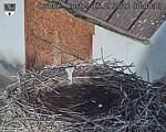 Capi_Dubne_20260915_084003.jpg