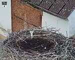 Capi_Dubne_20260915_084503.jpg