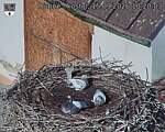 Capi_Dubne_20260915_102003.jpg