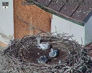 preload