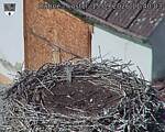Capi_Dubne_20260915_114003.jpg