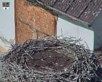Capi_Dubne_20260915_122503.jpg