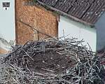 Capi_Dubne_20260915_131003.jpg